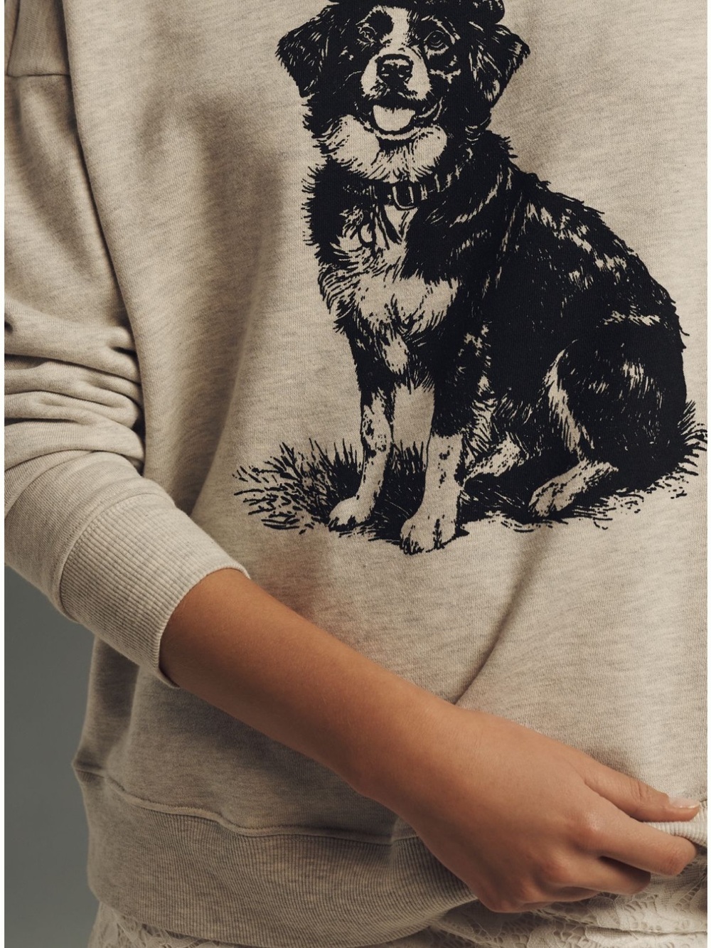 Anthropologie Maeve Best in Show Dog Crewneck Size M - Picture 2 of 7